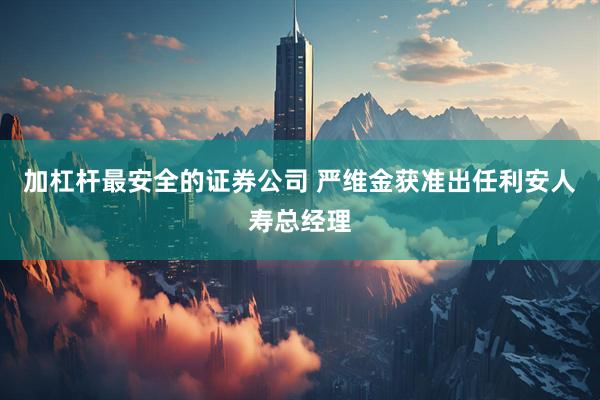 加杠杆最安全的证券公司 严维金获准出任利安人寿总经理