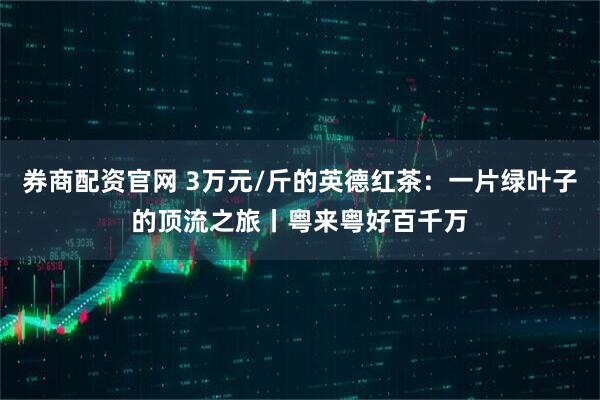 券商配资官网 3万元/斤的英德红茶:一片绿叶子的顶流之旅丨粤来粤好百千万