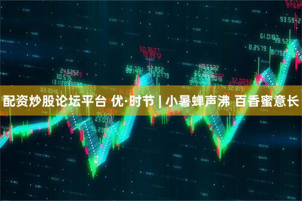 配资炒股论坛平台 优·时节 | 小暑蝉声沸 百香蜜意长