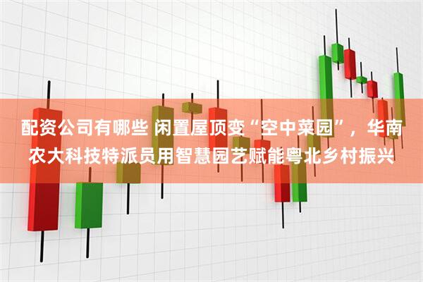 配资公司有哪些 闲置屋顶变“空中菜园”，华南农大科技特派员用智慧园艺赋能粤北乡村振兴